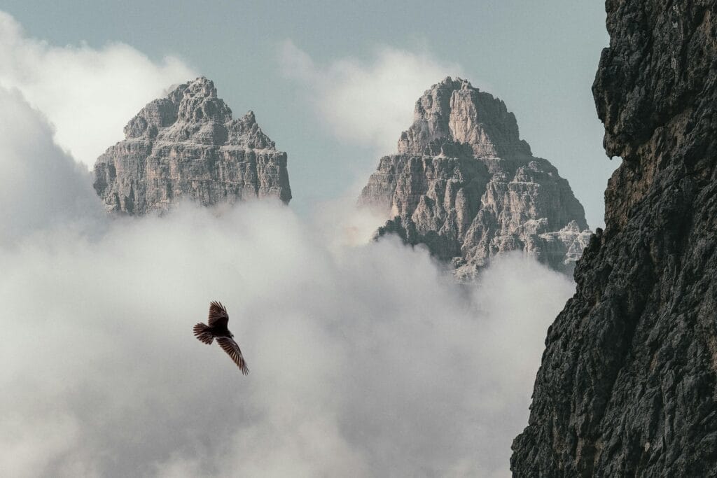 Breathtaking view of the Dolomites with a bird soaring through misty clouds, creating a dramatic natural scene.