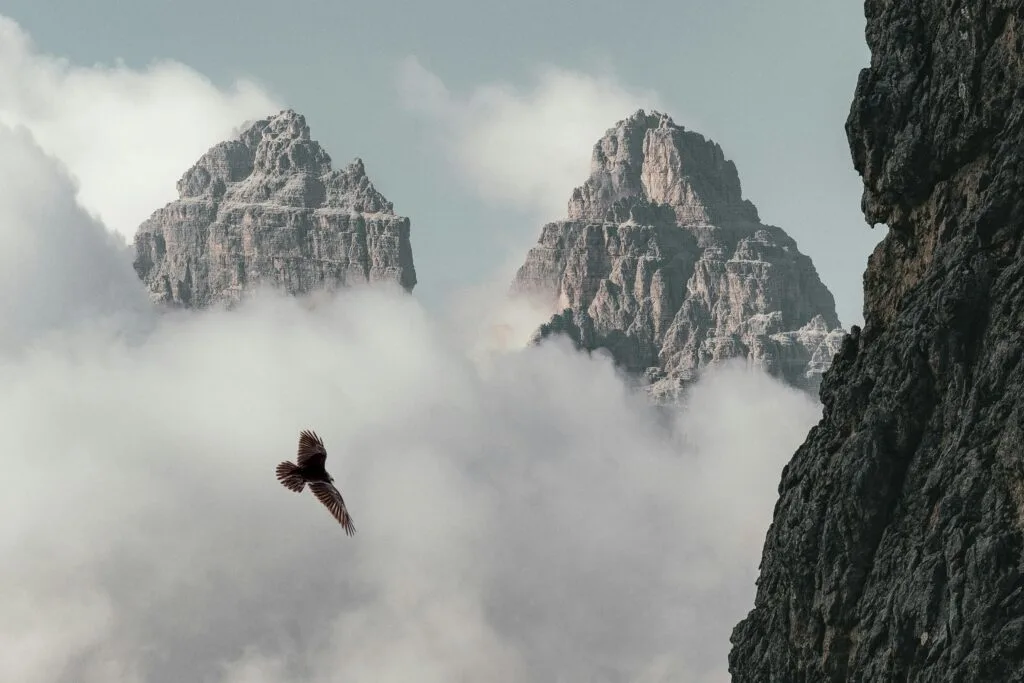 Breathtaking view of the Dolomites with a bird soaring through misty clouds, creating a dramatic natural scene.